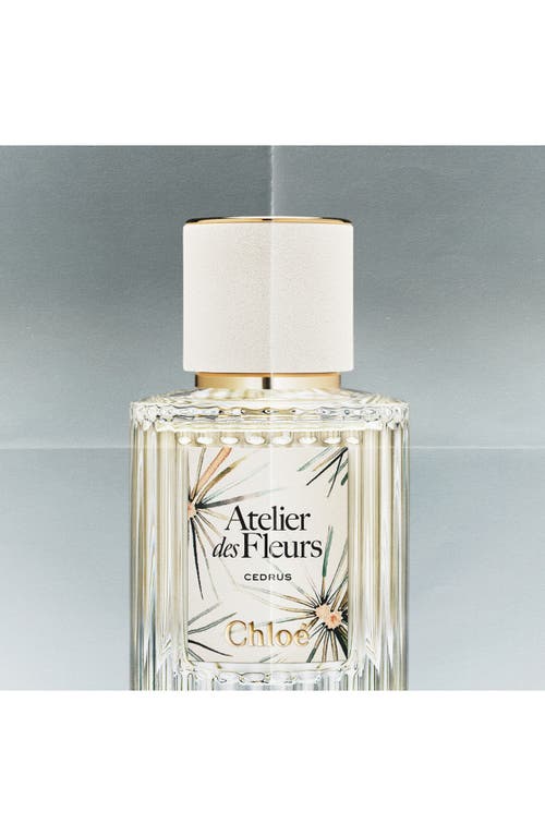Chloé Atelier Des Fleurs Cedrus Eau De Parfum In Transparent
