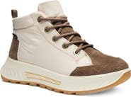 ara Shale Faux Shearling Lined High Top Sneaker