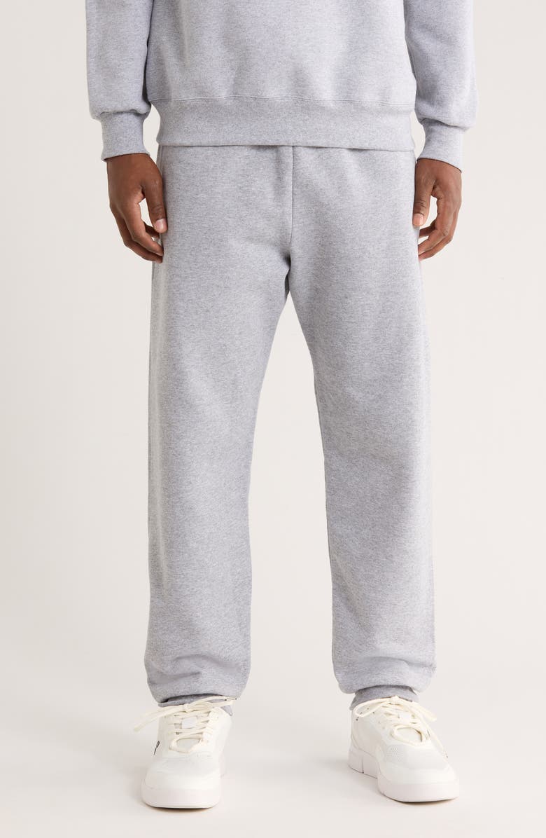 Hanes Ecosmart Fleece Joggers, Main, color, Light Steel