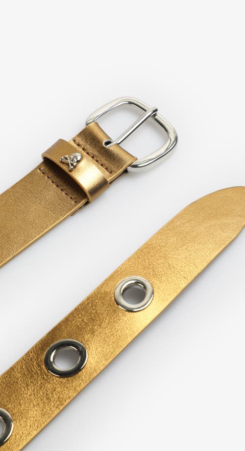 Scalpers Eyelet Belt In Brown