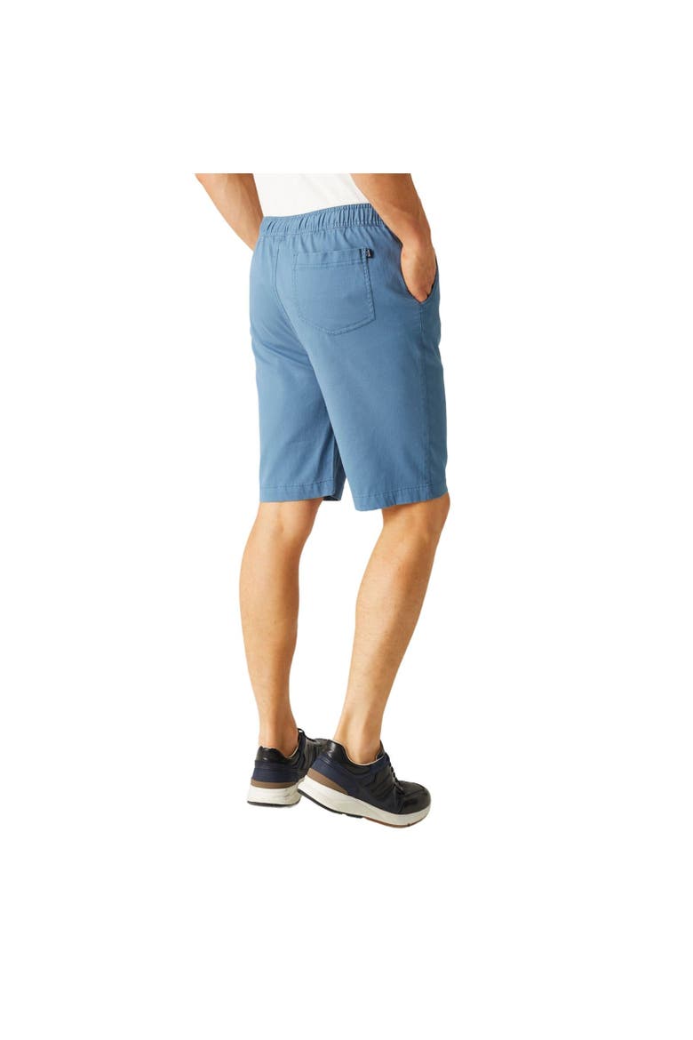 Aldan Chino Shorts, Alternate, color, Coronet Blue