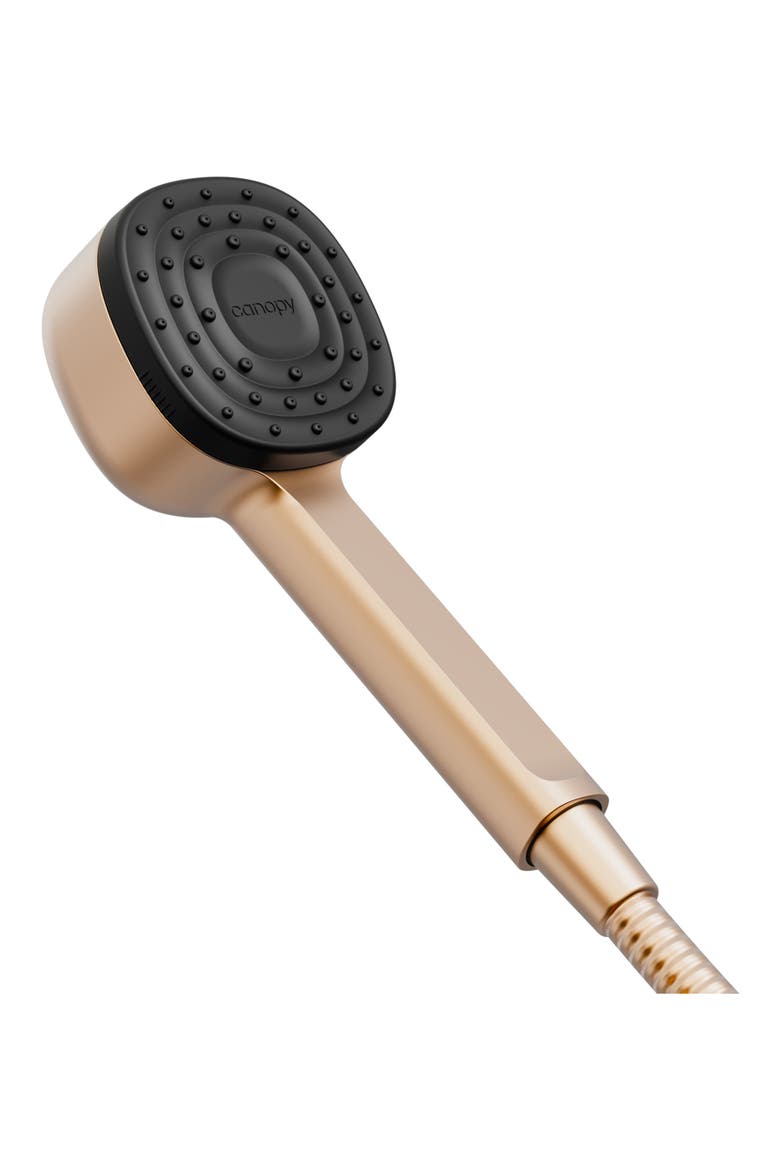 Filtered Handheld Showerhead, Main, color, BRASS