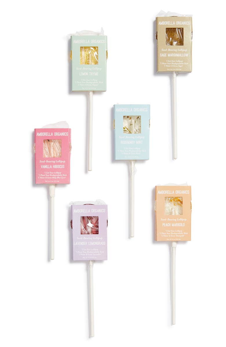 Amborella Organics Beginning Garden Essentials 12-Piece Seed Based Lollipop Set, Main, color, 