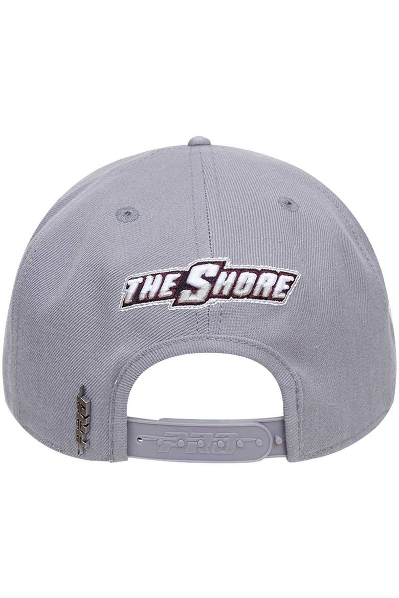 Men's Pro Standard  Gray Maryland Eastern Shore Hawks Evergreen Hawks Snapback Hat, Alternate, color, Gray
