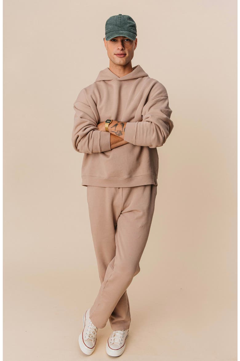 Men's Organic Cotton Teddy Oversized Hoodie, Alternate, color, Fawn