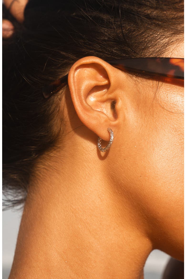 Hammered Hoops Earrings, Alternate, color, Silver