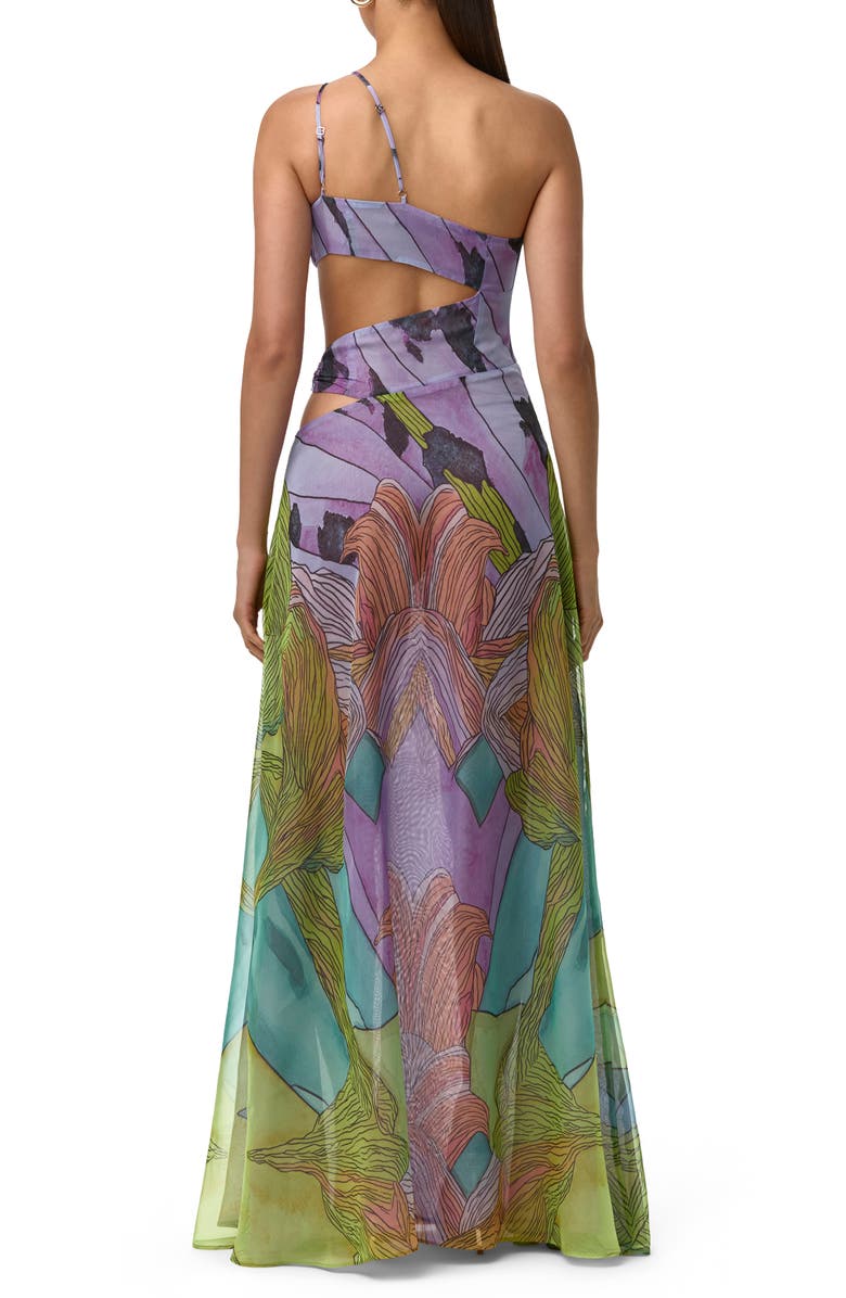 Naked Wardrobe Print Sheer Chiffon Cutout Maxi Dress, Alternate, color, Lethal Botanical