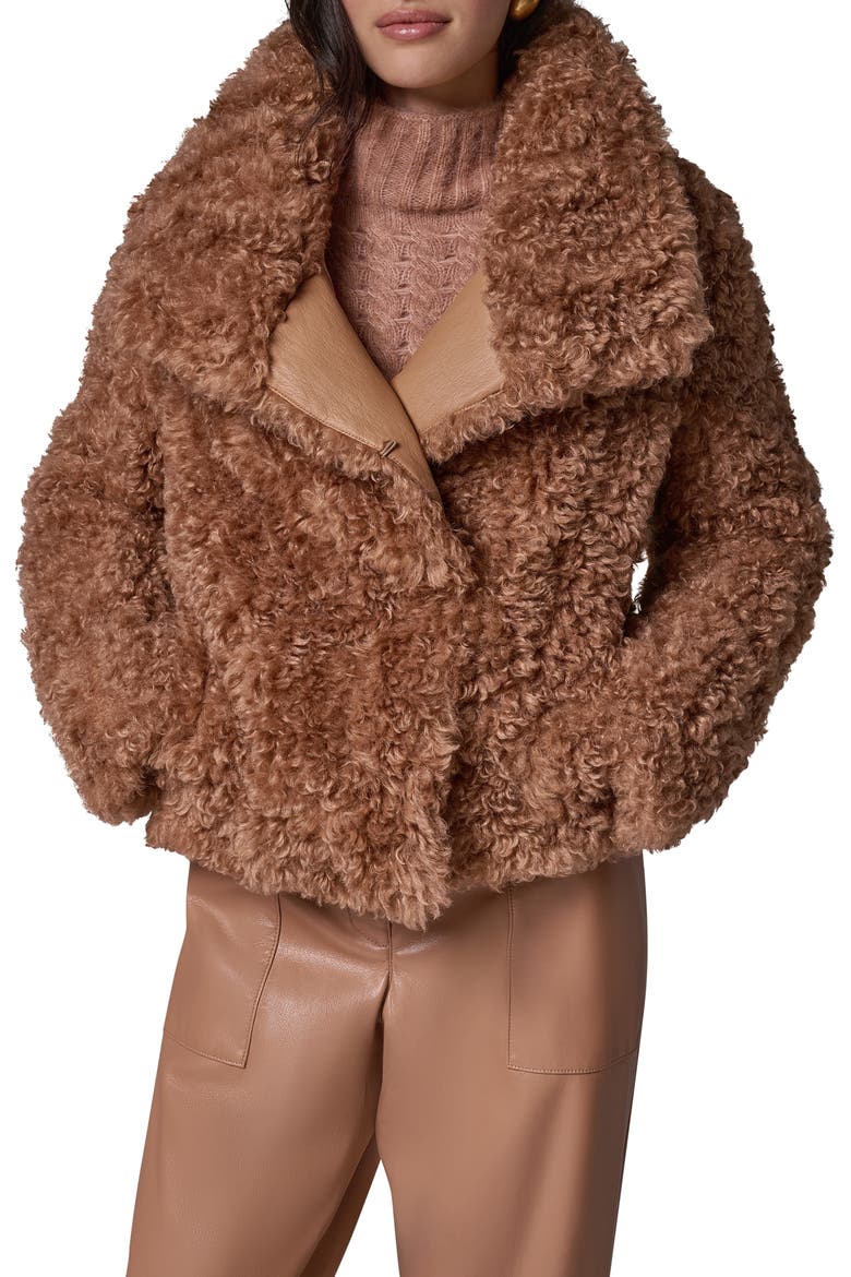Faux Fur Teddy Jacket, Main, color, CAMEL