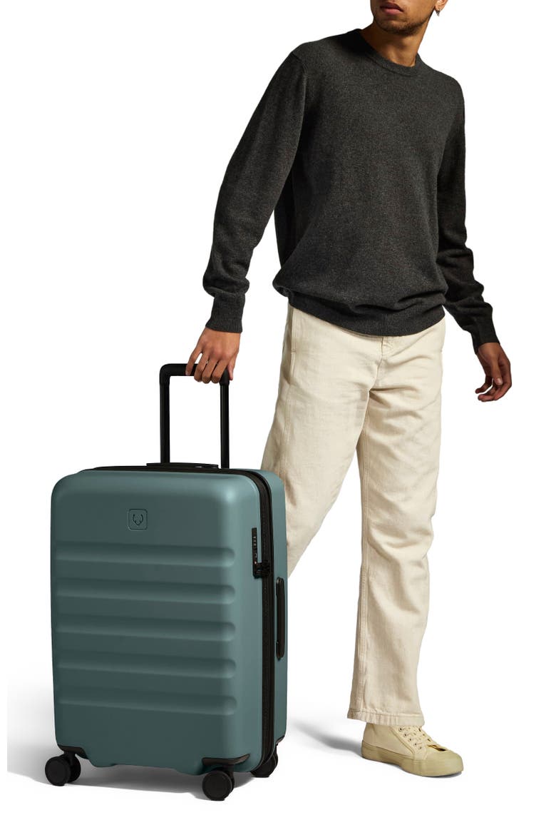Icon Stripe Medium Luggage, Alternate, color, Glade Blue