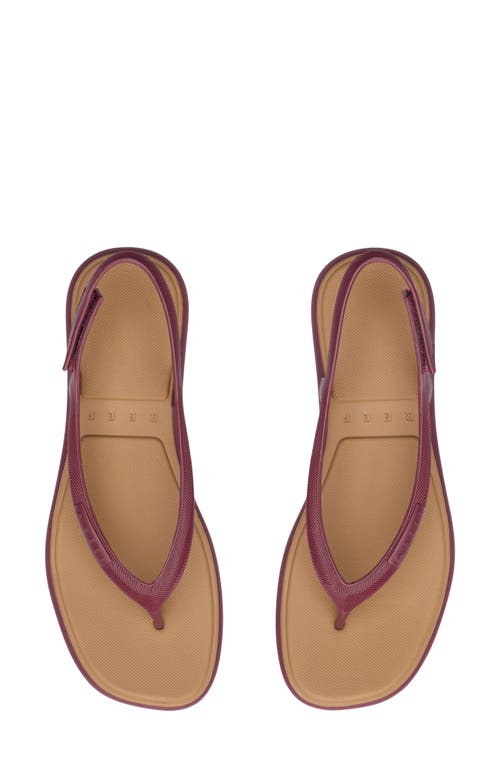 Reef Water Willow Maya Slingback Sandal In Burgundy
