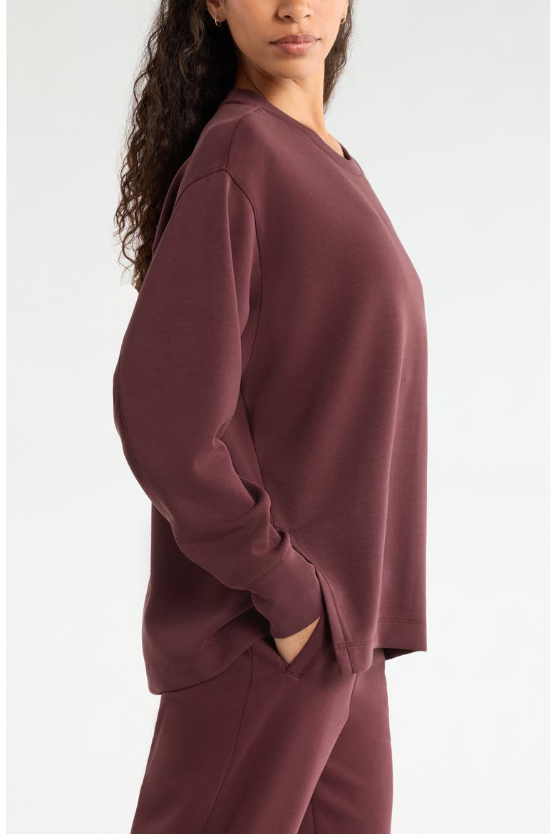 Soft Luxe Tunic, Alternate, color, BROWN RISTRETTO