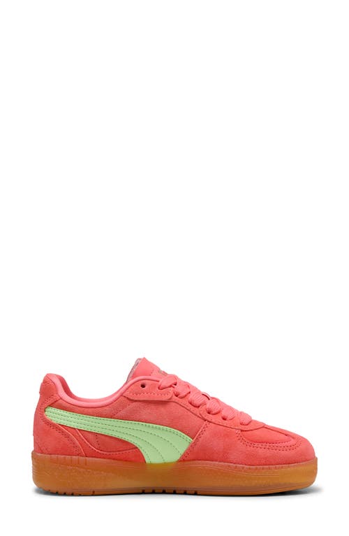 PUMA PUMA PALERMO MODA XTRA GUM RUBBER SNEAKER
