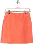 Longchamp Suede Miniskirt