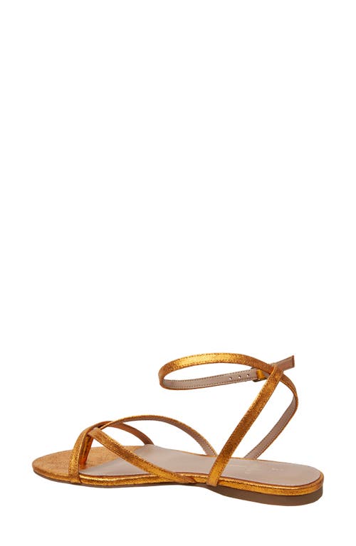 Shop Linea Paolo Luz Ankle Strap Sandal In Orange