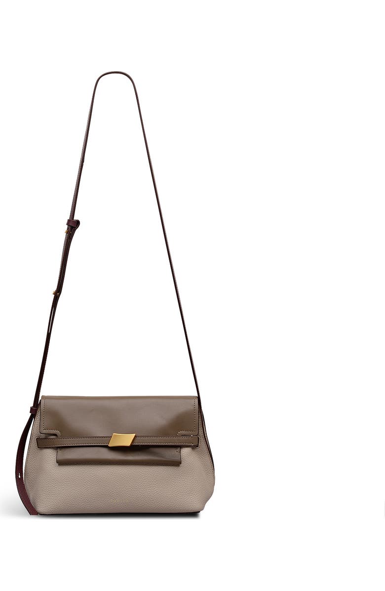 Radley The Christina - Colourblock Small Flapover Crossbody Bag, Main, color, Porcini