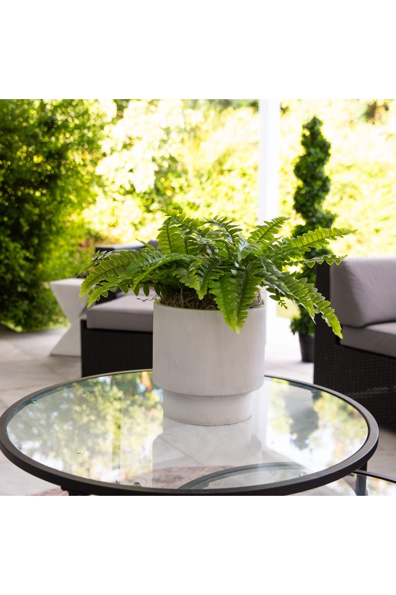 19-in UV Resistant Artificial Boston Fern (Indoor/Outdoor) - Set of 2, Alternate, color, Green
