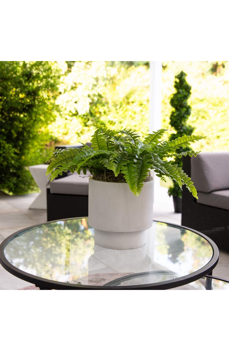 NEARLY NATURAL 19-in UV Resistant Artificial Boston Fern (Indoor/Outdoor) - Set of 2, Alternate, color, Green