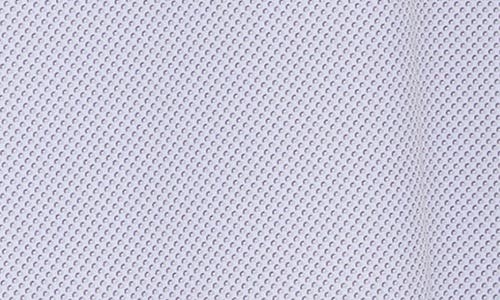 Dylan Park Slim Fit Performance Stretch Button-down Shirt