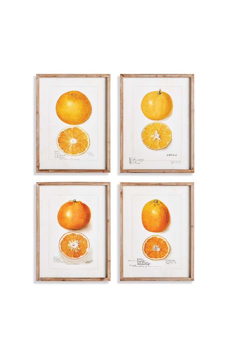 Napa Home & Garden Citrus Study Framed Wall Art Set of 4, Main, color, 