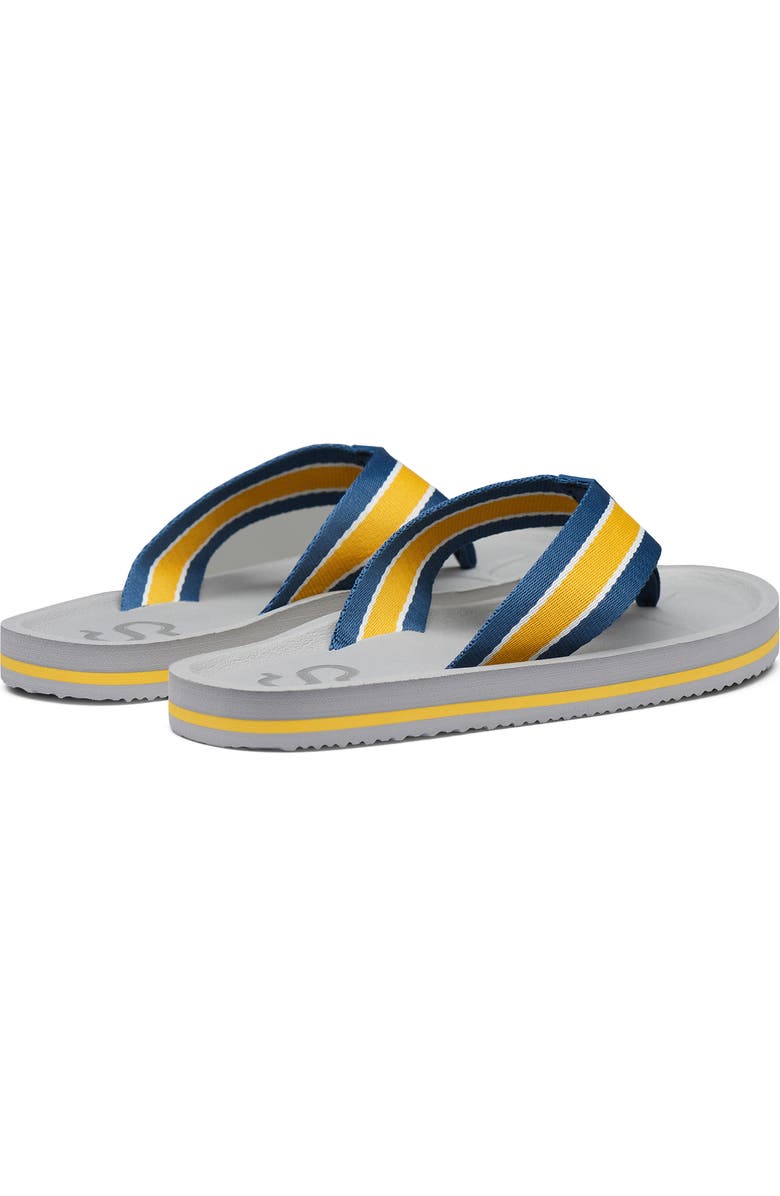 Swims Capri Flip Flop Sandal, Alternate, color,