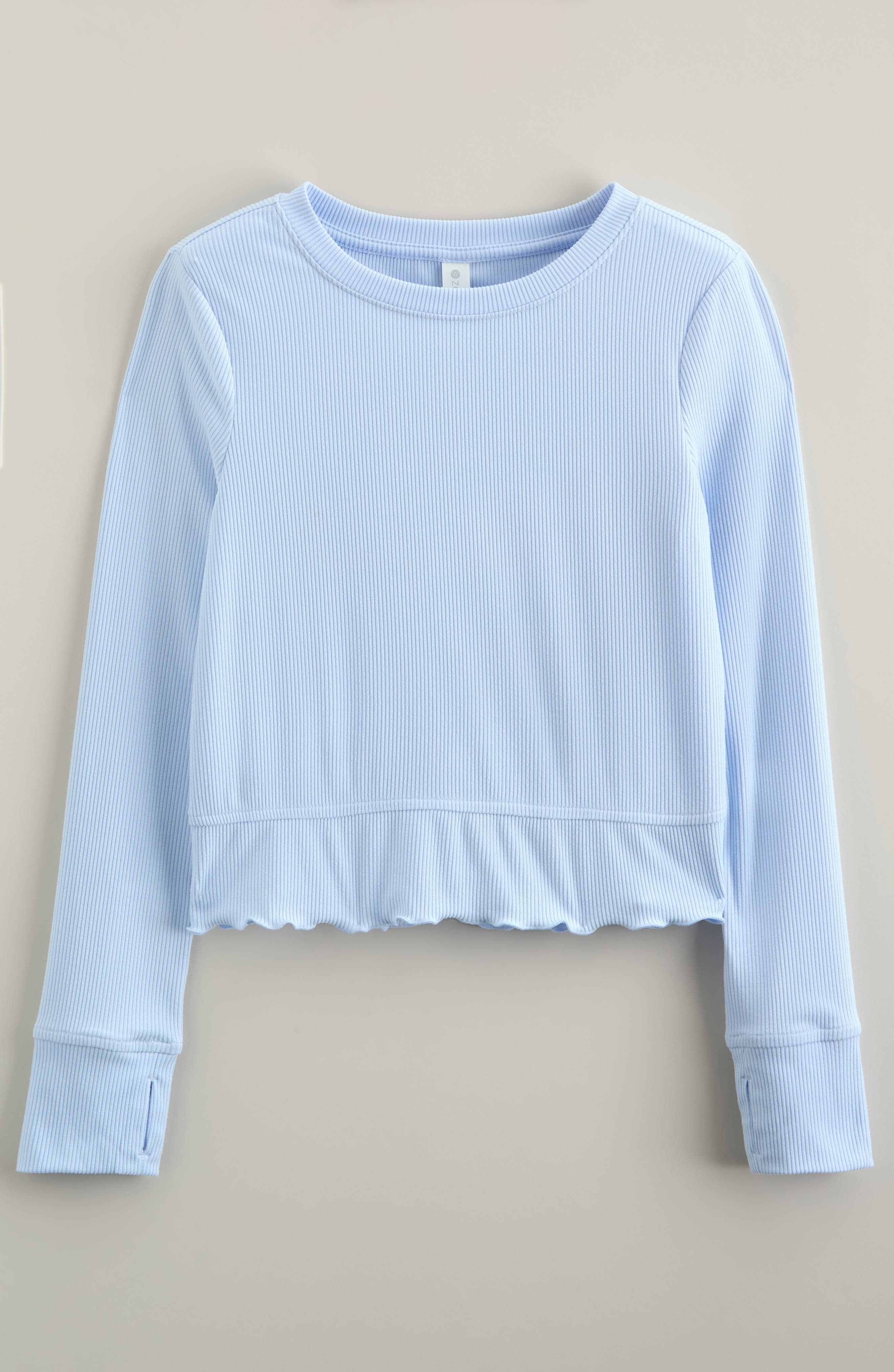 BLUE BIRD
