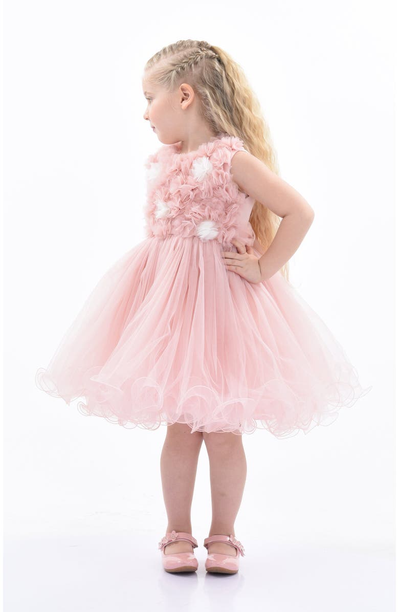 Tulleen Cambriana Dress, Alternate, color, Pink