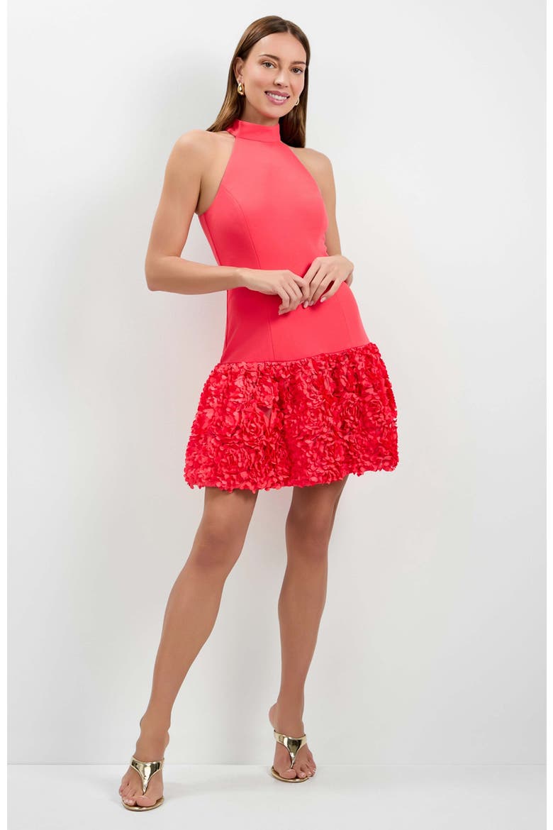 Tibaldi 3D Floral Mini Dress, Main, color, Corso Coral