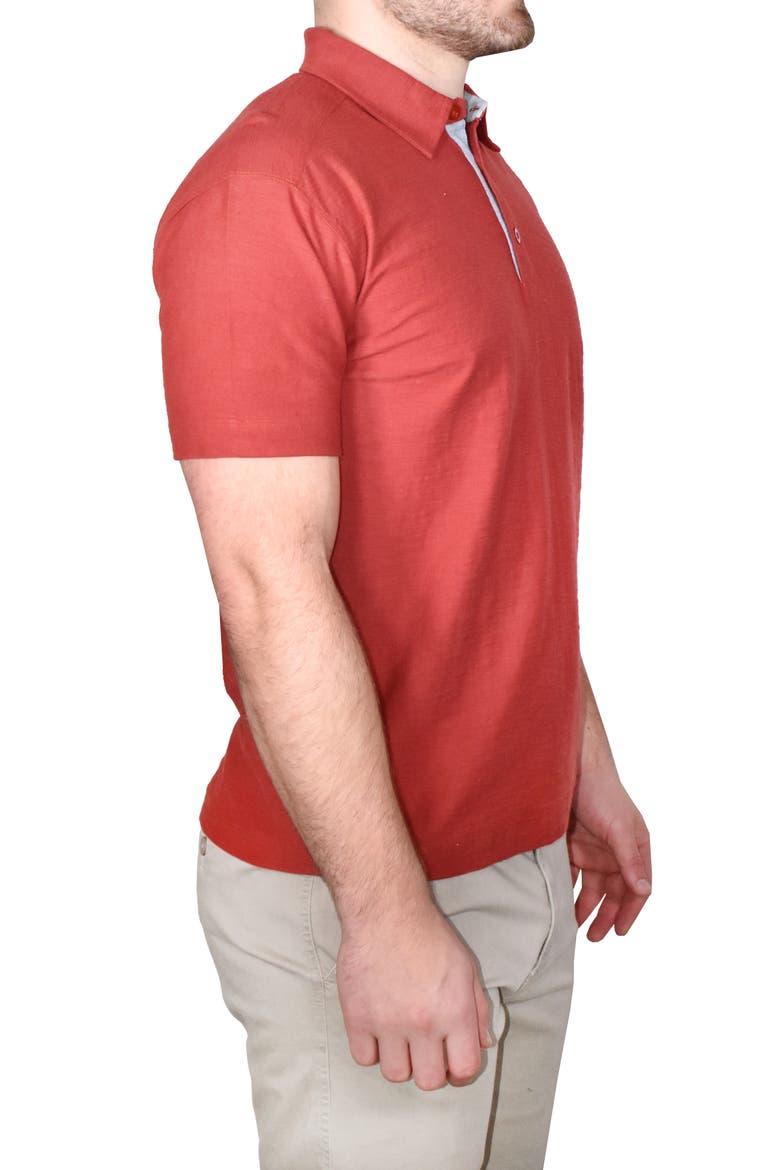 Cotton Slub Knit Polo, Alternate, color, CINEBAR