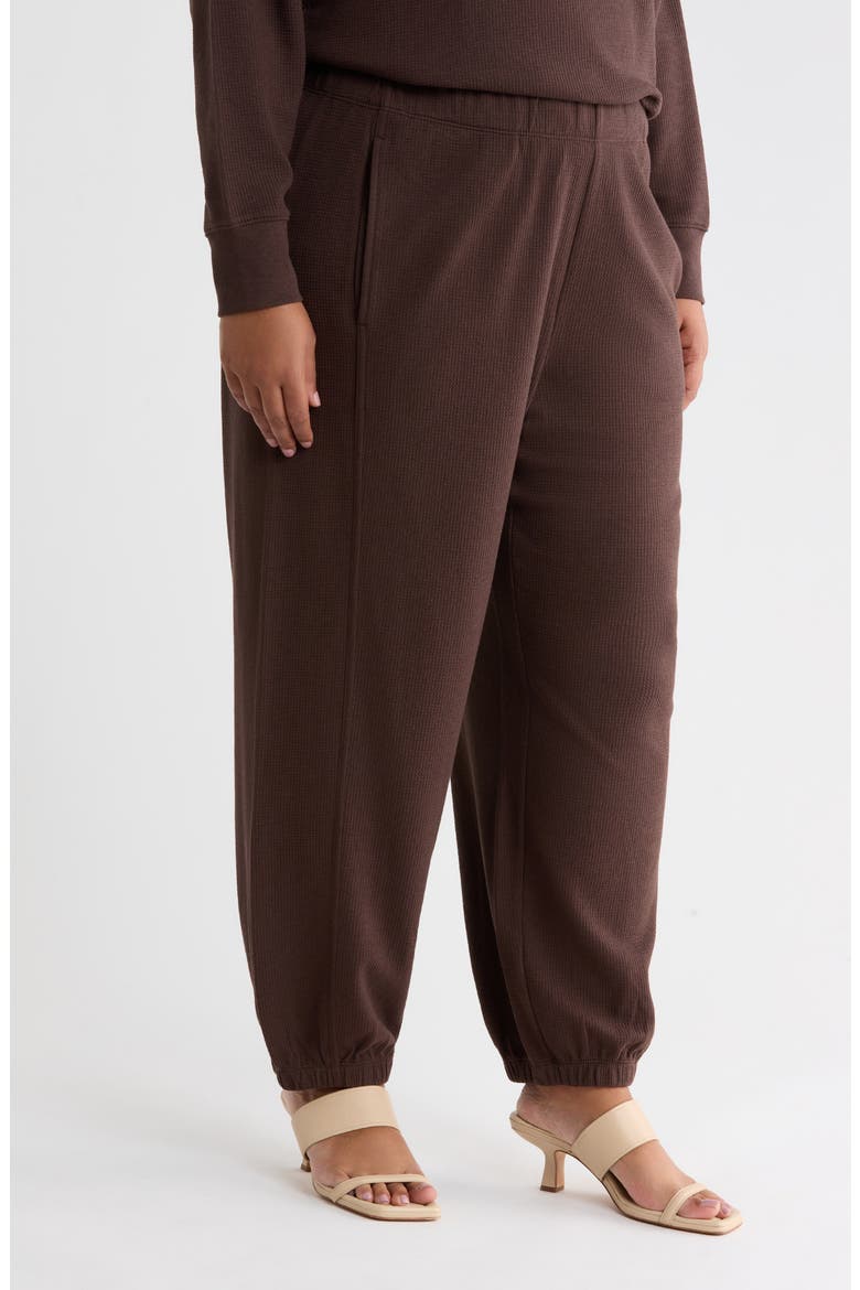 Organic Cotton & Tencel Lyocell Ankle Jogger Pants, Alternate, color, COFFEE
