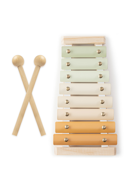Xylophone for Kids, Percussion Instrument for Toddler Learning