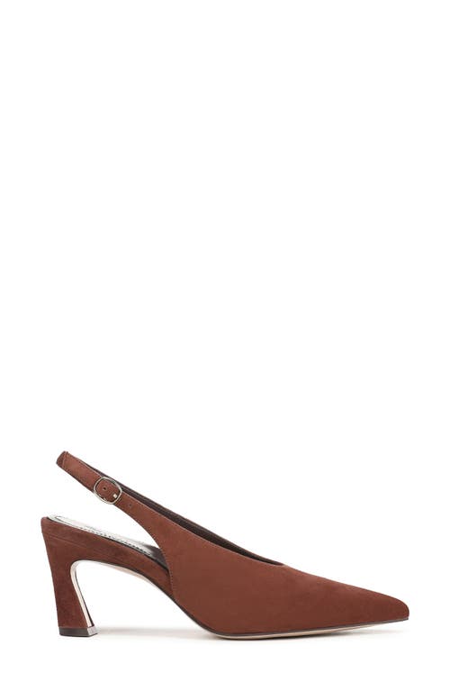 27 Edit Naturalizer Elaine Slingback Pointed Toe Pump In Multi