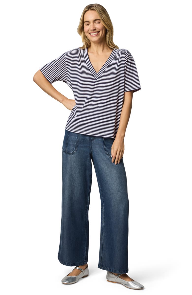 Splendid Kacey Stripe V-Neck T-Shirt, Alternate, color, Navy Blue/ White