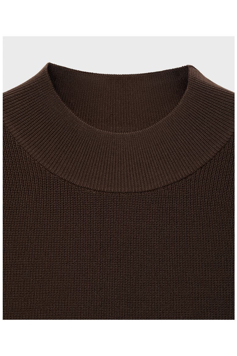 Perkins Sweater Dress, Alternate, color, CHOCOLATE
