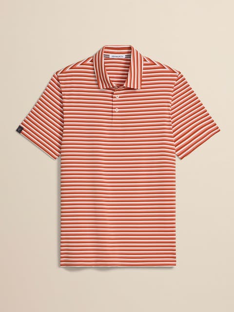 Ivy Stripe Polo