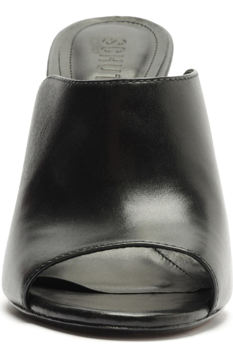 Schutz Esme Slide Sandal, Alternate, color, Black