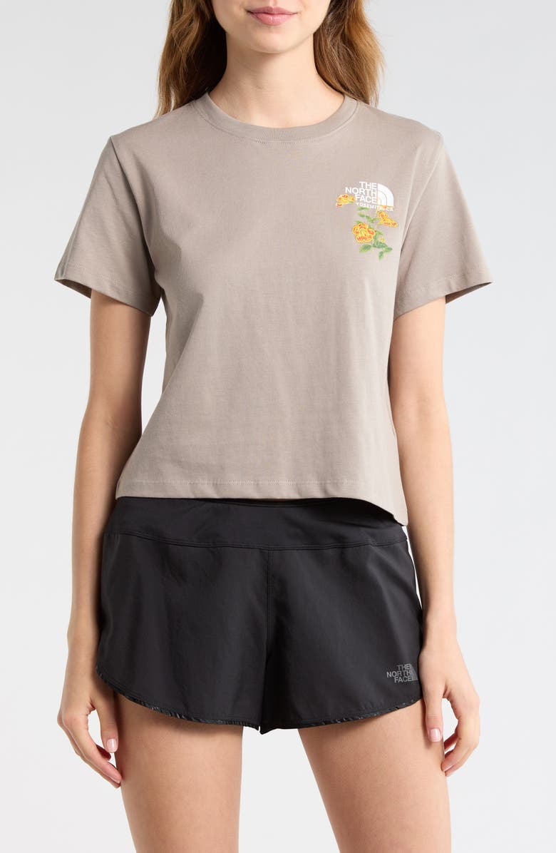 The North Face Flora Graphic T-Shirt, Main, color, Stone Slab