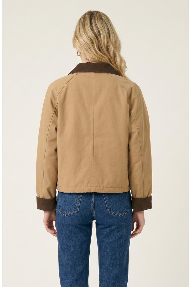 Cropped Contrast Collar Utility Jacket, Alternate, color, Tan / Brown