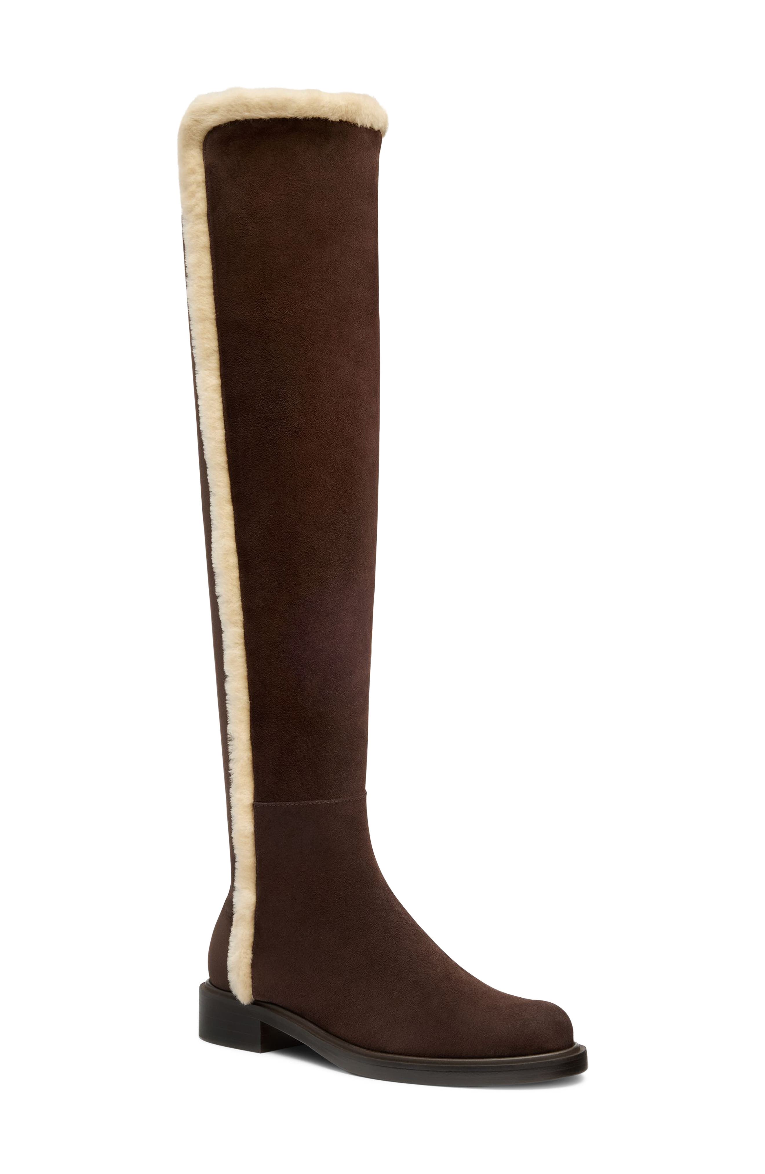 HICKORY/ VANILLA/ DARK BROWN