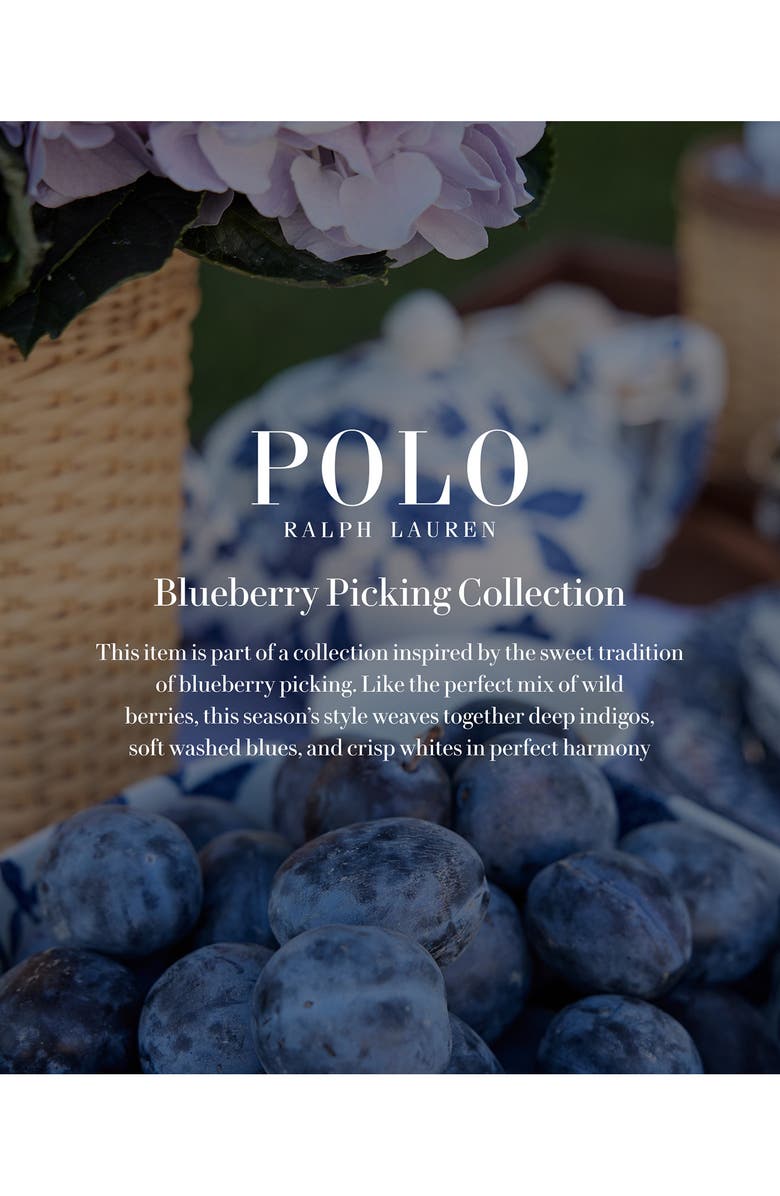 Polo Ralph Lauren Kids' Embroidered Smocked Bodice Chambray Sundress, Alternate, color, New Medium Wash