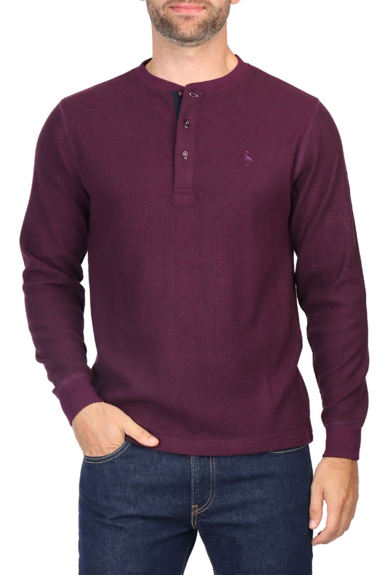Cozy Knit Henley, Main, color, BERRY HEATHER