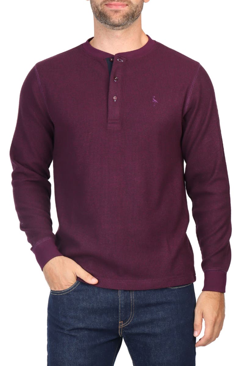 TailorByrd Cozy Knit Henley, Main, color, Berry Heather