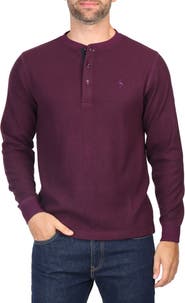 TailorByrd Cozy Knit Henley