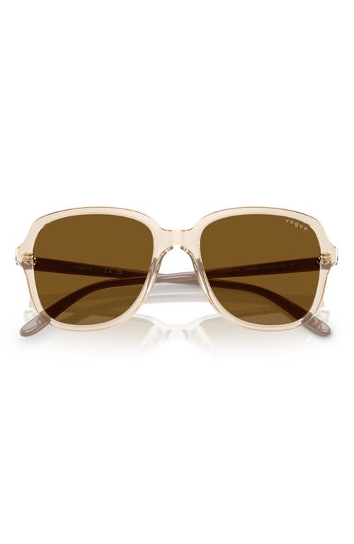 Vogue 53mm Square Sunglasses In Brown
