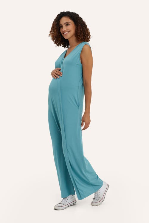 Nom Maternity Everyday Jumpsuit In Blue