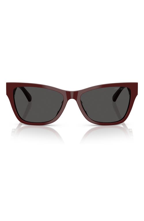 Jimmy Choo 55mm Pillow Sunglasses In Red