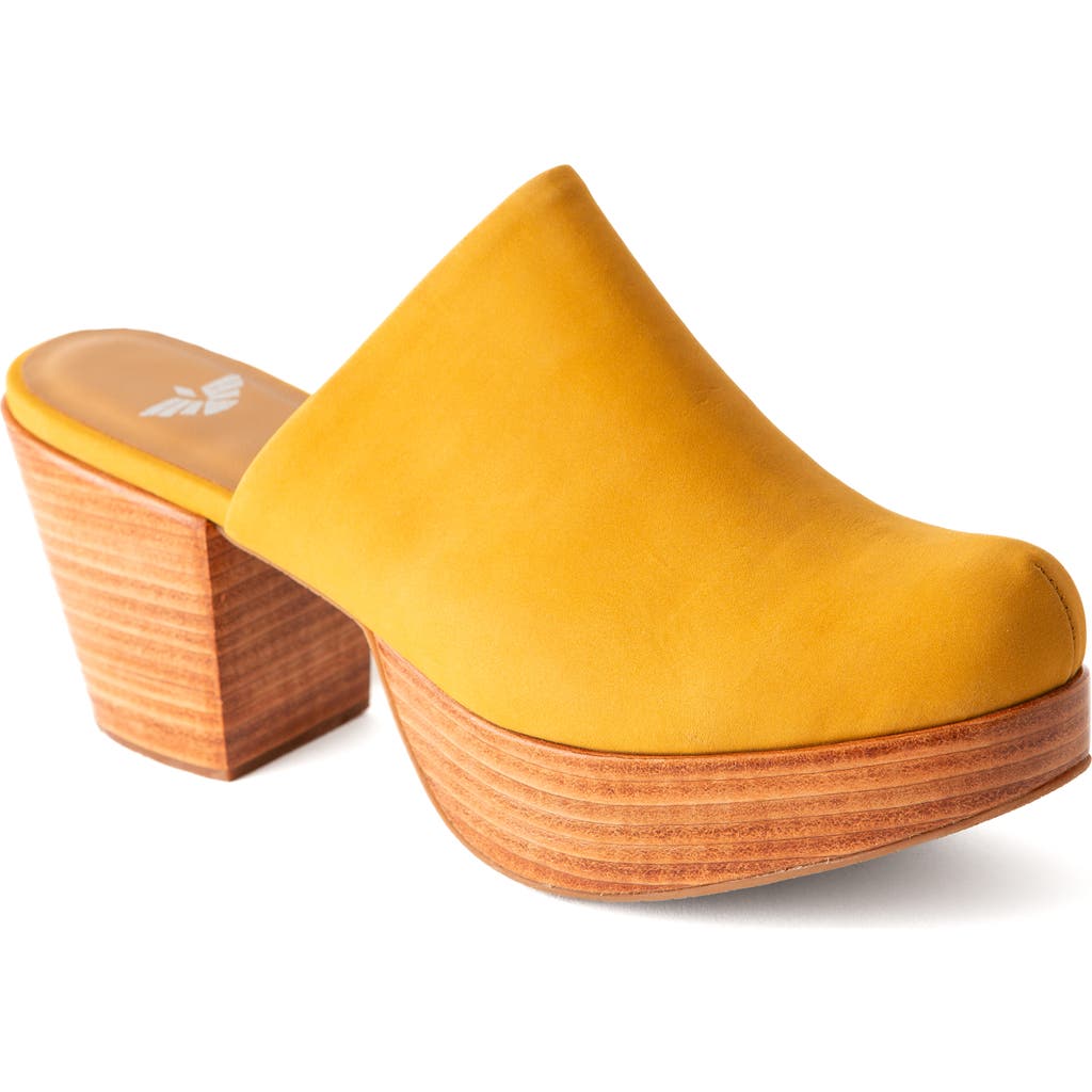 Fortress Ava Suede Clog Mule In Multi