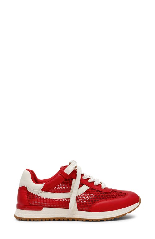 Dolce Vita Dv By  Joque Sneaker In Red