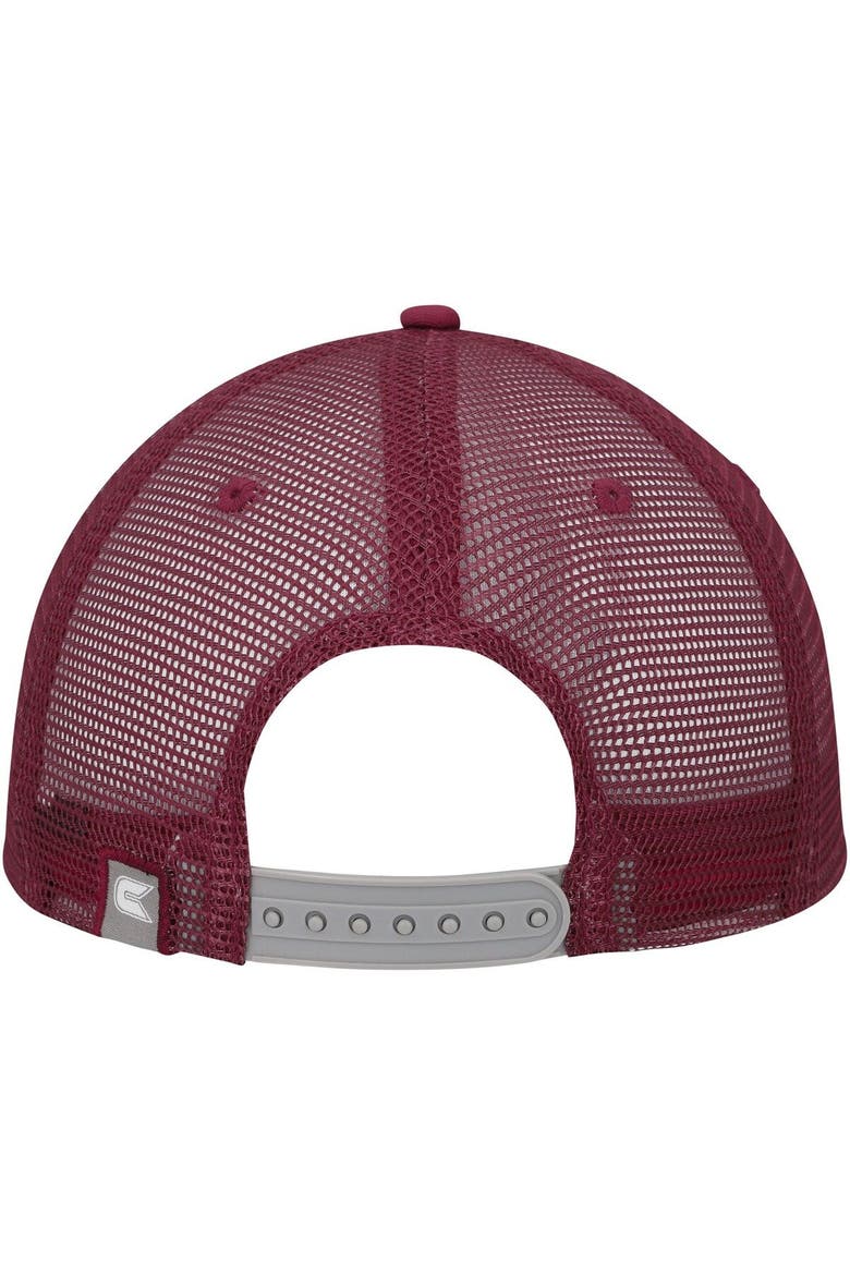 Men's Colosseum Gray/Cherry Temple Owls Love Fern Trucker Snapback Hat, Alternate, color, Gray