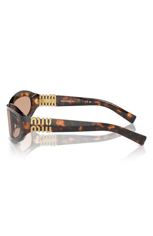 Miu Miu 61mm Oval Sunglasses In Blond Hav