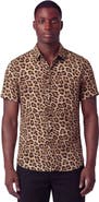 Lords of Harlech Leopard Mens Merino Wool Button-up Shirt